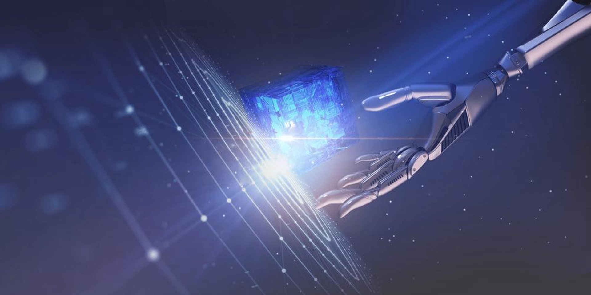 云码星网络科技